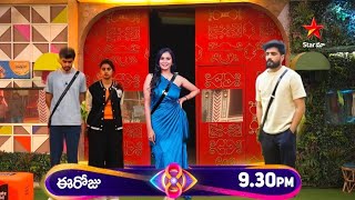 నీ ముష్టి ఆటలకి ఇంకా చెక్ పెడతKavya special wild card entry for Nikhil Bigboss 8 weekend Nagarjuna [upl. by Negiam]