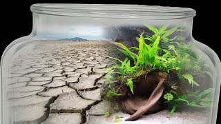 Bringing COMPLETELY DRIED Ecosystems Back to Life  This Happens [upl. by Oirogerg348]