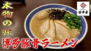 【新店】博多の人気店で修行した店主がつくる！至高の博多ラーメン▽ラーメン田中家（姶良市）▽鹿児島ラーメン▽鹿児島グルメ▽飯テロ▽354杯目 [upl. by Ninerb42]