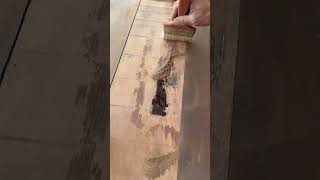 Fixing Wood Repairing Areas Damaged by Termites [upl. by Ised]