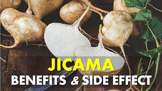 Jicama Benefits and Side Effects [upl. by Clorinda60]