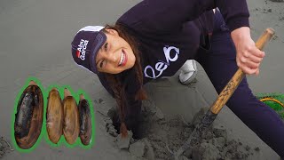 HOW TO DIG RAZOR CLAMS IN WASHINGTON  BAD ASH OUTDOORS [upl. by Neeven]