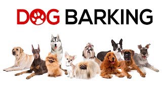 Dogs Barking Sounds To Make Your Dog REACT  34 Breeds Including Yours [upl. by Nitsej45]