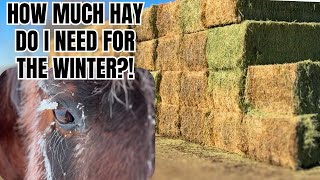 Feeding HORSES through a MONTANA Winter ❄️ These hay bales are HUGE [upl. by Suneya]