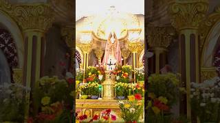 Kodaikanal church vibe yt tamilsong music shortvideos viralvideo cute whatsappstatus [upl. by Fital831]