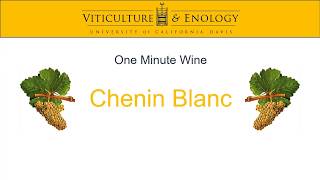 One Minute Wine  Chenin Blanc [upl. by Asereht]