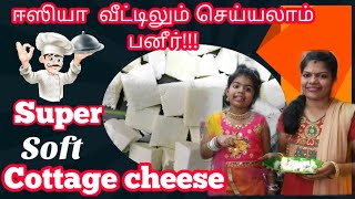 வீட்டில் பன்னீர் தயாரிக்க எளிதான செய்முறை  PANNER RECIPEபன்னீர் செய்முறை தமிழ் [upl. by Areikahs]