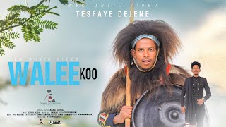 Tesfayee Dejene WALEEKOO New Ethiopian Afaan Oromo Music video 2024 Official Video [upl. by Llennaj]