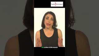 4 Essential Steps to Heal Diastasis Recti with the Tupler Technique® [upl. by Suanne]