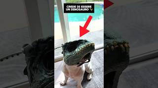 Questo cane crede di essere un dinosauro 😂 [upl. by Assed919]