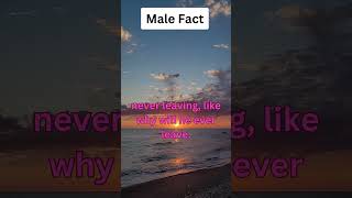 Male Fact [upl. by Gainer]