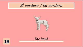 Farm animals Spanish English Vocabulary with pictures [upl. by Nnalatsyrc964]