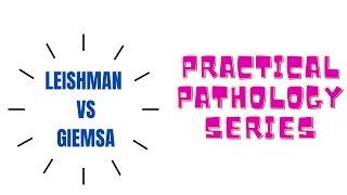 leishman staingiemsastainmalarialparasitebettervisualizationofrbc and wbcacetonefreemethan [upl. by Debo]