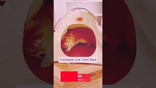 Foldable Cat Tent Bed😀shortsyoutubeshorts [upl. by Air]