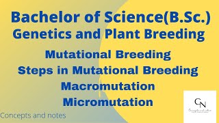 Mutational breeding  Steps involved in Mutational breeding  Macromutation and Micromutation [upl. by Allicsirp]