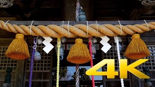 Shirahama Shrine  Shizuoka  白濱神社  4K Ultra HD [upl. by Barden]