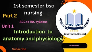 introduction to the Anatomy and physiology part2 ruhs counselling 1stsemexam anatomy [upl. by Nessi309]