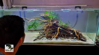 The Ultimate MALAYSIA Aquascape Planting 2 [upl. by Augusto]