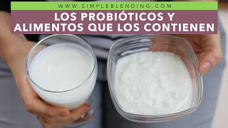 LOS PROBIÓTICOS Y LOS ALIMENTOS QUE LOS CONTIENEN  ¿Qué son los probióticos [upl. by Kristofer]