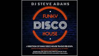 Funky Disco House Feb 2024 [upl. by Hplodnar791]