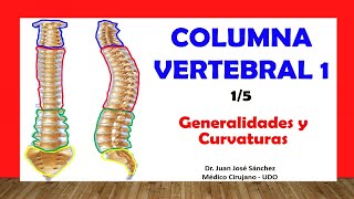 🥇 COLUMNA VERTEBRAL 15  Generalidades Curvaturas Fácil y Sencillo [upl. by Sparhawk495]