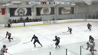 Little Flyers EHL vs Philadelphia Hockey Club EHL on 1192024 [upl. by Drofxer494]