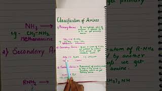 Amines Organic Chemistry 12th video 1 chemistry ytshorts shortvideo [upl. by Tollmann]