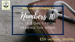 Numbers 10  ESV  dramatized audio [upl. by Llerad]