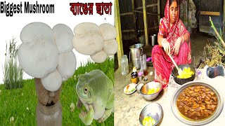 ranna recipe l ranna banna l mushroom recipes l gramin ranna l grammar recipe l bangladeshi ranna l [upl. by Nnayrrehs]