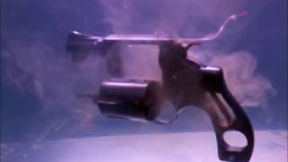 Ultrasonic Gun Cleaning [upl. by Cahilly923]