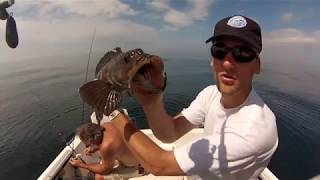 Rockfishing Morro Bay Quick Limits of Big Fish 805AnglingBrothers [upl. by Narcho]