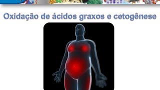 Curso de Bioquímica Oxidação de ácidos graxos e cetogênese parte II [upl. by Negiam]