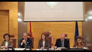 Comparecencia sobre salud mental y prevención del suicidio en la Comisión Sanidad del Senado [upl. by Relluf]