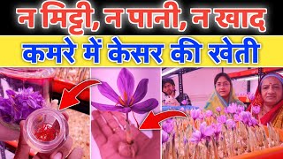 न मिट्टी न पानी न खाद घर बैठे कमरे में खेती  Saffron Farming in India  Innovative Farmers [upl. by Oyr]