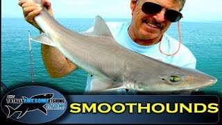 How to catch SmoothHounds  The Totally Awesome Fishing Show [upl. by Kellyn]