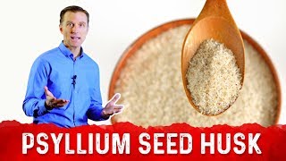 DrBergs Opinion On Psyllium Seed Husk [upl. by Robinson]