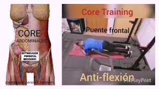 Rutina de ejercicios anti  flexión core training [upl. by Kcirdes862]