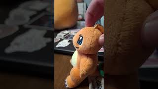 Rowlet And Charmander Are Fighting actinginspiration funny pumpkaboo [upl. by Yacano]