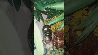 Day 9 Navratri Puja vidhi village styleshort viral Pooja [upl. by March874]