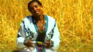 New Ethiopian Amharic Music NewFenat Beliea  Alemayehu tesfayemp4 [upl. by Marilla614]