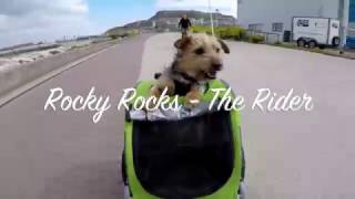 DoggyRide  Rocky Rocks The Rider [upl. by Ahsikahs185]