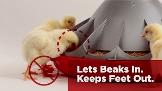 KonaviÂ® Broiler Feeder [upl. by Arraeis]