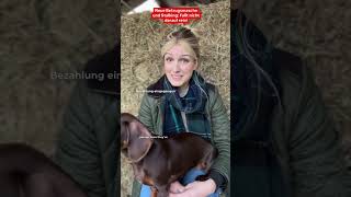 Fake Accounts Betrugsmaschen und Stalki  Marie Hoffmann [upl. by Edlyn415]