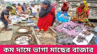 সরাসরি দেখুন ঢাকায় কোথায় কম দামে মাছ পাওয়া যায়।Fish MarketManikganjprotidin [upl. by Pendleton788]