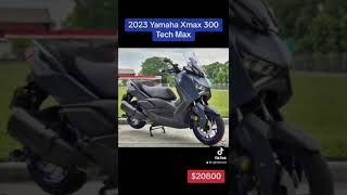 2023 Yamaha Xmax 300 Tech Max [upl. by Ardnak272]