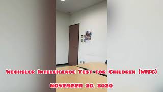 Aki WISC Test  Intelligence Test  IQ test [upl. by Rancell]