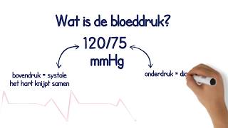 Wat is de bloeddruk [upl. by Nnayt]