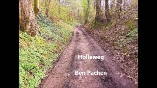 Holle weg polonaise liedje song door Ben Pachen  Englisch translation [upl. by Moitoso]