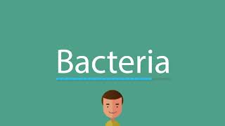 Bacteria pronunciation [upl. by Nnoryt219]