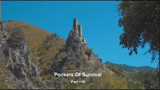 Pockets Of Survival Part 146 [upl. by Drofnas423]